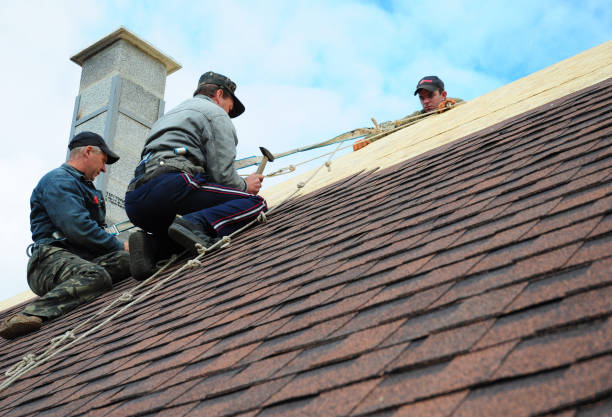 Best Roof Gutter Cleaning  in Childress, TX